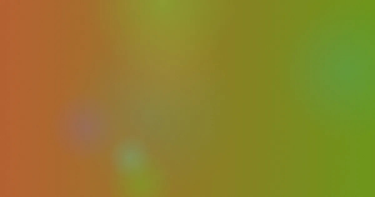 鹬值得吗：观鸟前的判断清单